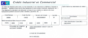 RIB Renovo - CIC (2)